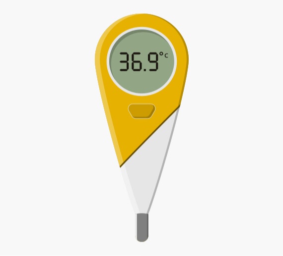 Digital Thermometer